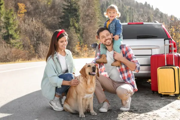 Como Preparar Seu Pet para uma Viagem Longa de Carro