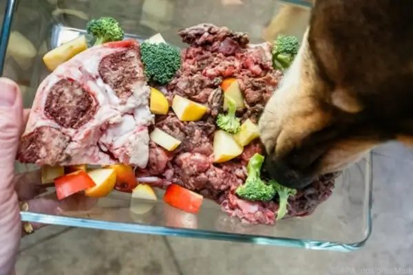 refeição BARF preparada para pet